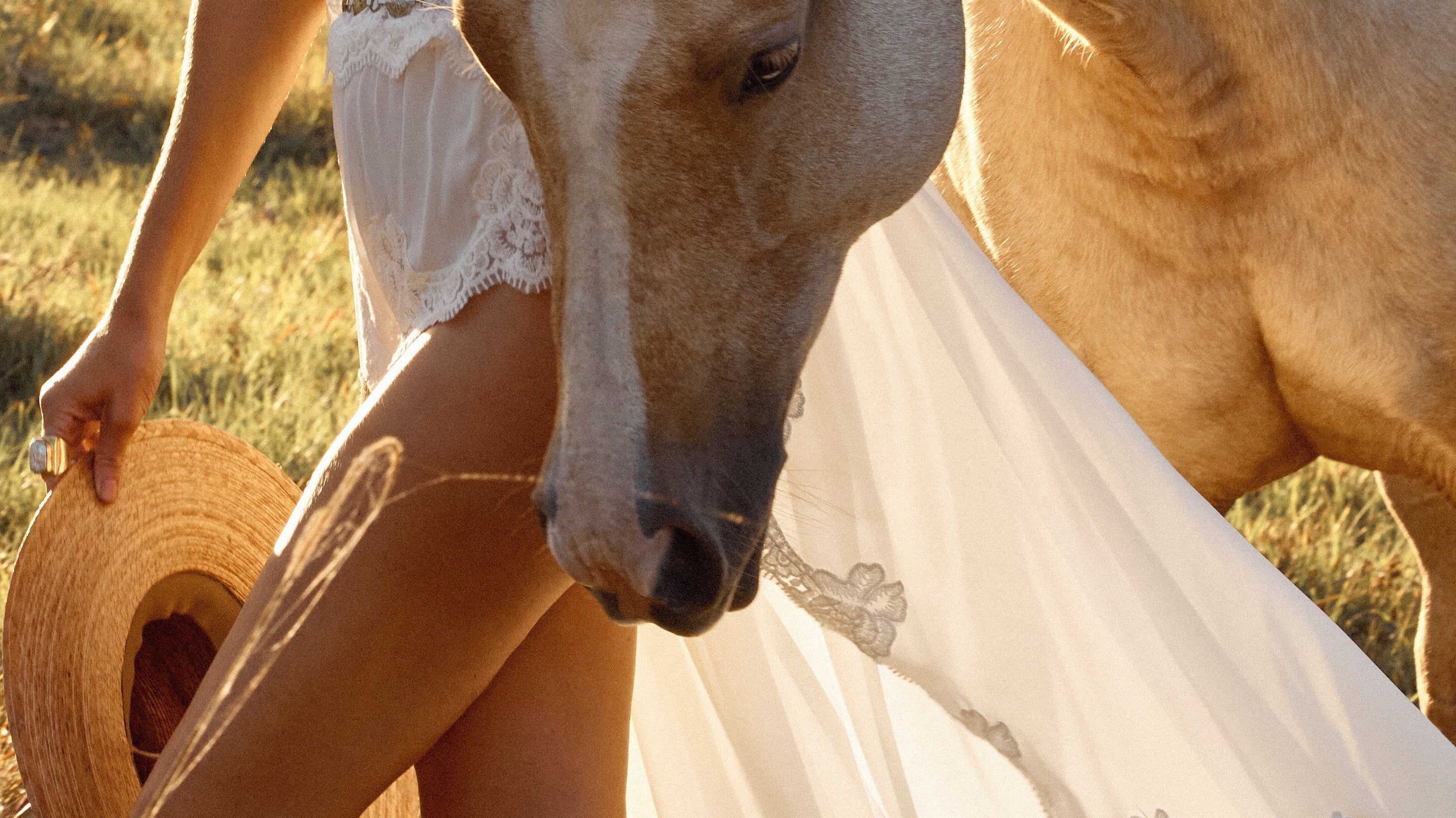 The Year of the Horse